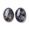Natural Black Larvikite Cabochons X-G-Z020-10-2