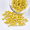 Glass Seed Beads SEED-R032-01-C01-1