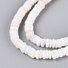 Natural Freshwater Shell Beads Strands SHEL-Q028-01A-3