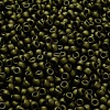 TOHO 6/0 Round Beads SEED-XTR06-0617-4