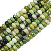 Natural Serpentine Beads Strands G-L647-D09-4x6mm-2
