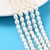 Natural Cultured Freshwater Pearl Beads Strands PEAR-I007-01C-04A-1