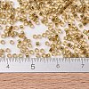 MIYUKI Delica Beads X-SEED-J020-DB2525-3
