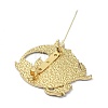 Alloy Brooches JEWB-R017-29-3