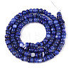 Natural Freshwater Shell Dyed Beads Strands SHEL-T020-29A-10-2