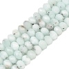 Natural Gemstone Beads Strands G-C259-A18-5x8mm-2