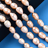 Natural Cultured Freshwater Pearl Beads Strands PEAR-N012-07M-6
