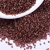 MIYUKI Delica Beads SEED-MY11-DB2160-1