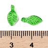 Transparent Acrylic Charms TACR-F009-11E-3