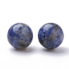 Natural Blue Spot Jasper Beads G-S288-01-10mm-1