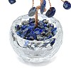Natural Lapis Lazuli Chip Pachira Glabra Display Decorations DJEW-K025-04E-2