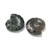 Natural Indian Agate Conch Display Decorations DJEW-D303-01H-2
