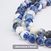 Natural Sodalite Round Beads Strands G-OC0001-91-3