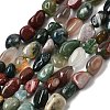 Natural Indian Agate Beads Strands G-P601-A09-02-2