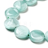 Natural Glass Beads Strands G-I247-28C-4