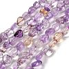 Natural Ametrine Beads Strands G-P497-01E-50-1