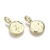 Alloy Pendants PALLOY-N157-004Z-NR-2