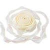 Polyester Lace Trim DIY-TAC0010-49D-1