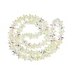 Electroplate Transparent Glass Beads Strands EGLA-Q136-01A-05-2