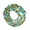 Natural HuBei Turquoise Beads Strands G-D100-A01-3mm-3