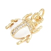 Brass Micro Pave Clear Cubic Zirconia Pendants KK-F938-22B-G05-2