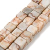 Natural Red Line Jasper Beads Strands G-Q1008-B05-1