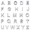 304 Stainless Steel Charms STAS-YW0004-01P-1