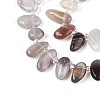 Natural Botswana Agate Beads Strands G-Z091-A30-3