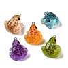 Luminous Transparent Resin Pendants RESI-F077-01P-1