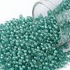 TOHO Round Seed Beads X-SEED-TR11-0954F-1