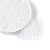 Transparent Glass Seed Beads SEED-Q041-01A-2