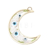 Brass Resin Pendants PALLOY-MZ01073-01-1