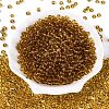 FGB Transparent Glass Seed Beads SEED-N013-01A-08-2