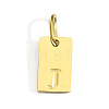 304 Stainless Steel Pendants STAS-Z143-01G-J-1