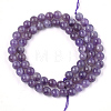 Natural Amethyst Beads Strands G-S333-6mm-020-3