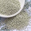 MIYUKI Round Rocailles Beads SEED-G007-RR0181-1