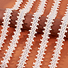 Polyester Ribbons OCOR-GA0001-26-3