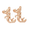 Alloy Pendants FIND-C094-05KCG-1