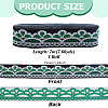 Polyester Ribbon OCOR-WH0109-369A-2