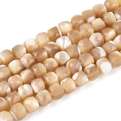 Natural Trochid Shell/Trochus Shell Beads Strands BSHE-T014-53-1