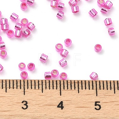 Glass Seed Beads X-SEED-S042-04B-19-1