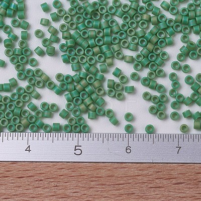 MIYUKI Delica Beads X-SEED-J020-DB0877-1