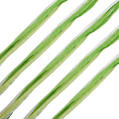 Raffia Twine Yarn OCOR-TAC0025-009D-1