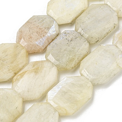 Natural Rainbow Moonstone Beads Strands G-P544-B05-01-1