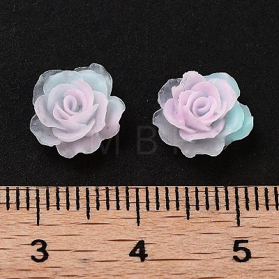 Luminous Resin Decoden Cabochons RESI-K036-48-1