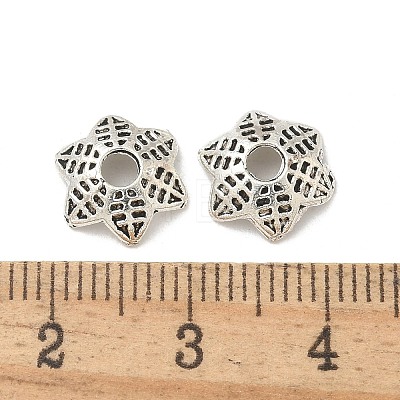 Alloy Spacer Beads TIBE-P003-77AS-1