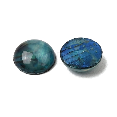 Abalone Shell/Paua Shell Cabochons SSHEL-K003-8MM-1