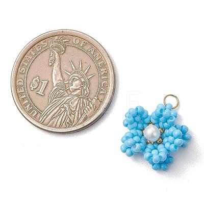 Glass Seed Beaded Pendants PALLOY-MZ01246-03-1