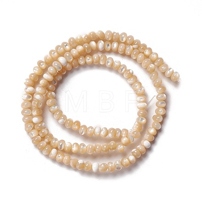 Natural Trochid Shell/Trochus Shell Beads Strands SSHEL-O001-24B-01-1