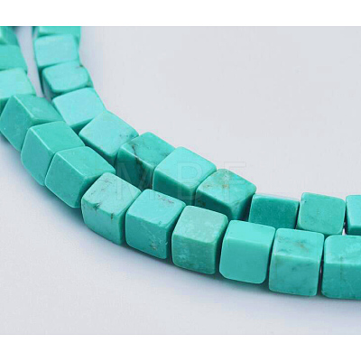 Natural Magnesite Beads Strands TURQ-K003-24-1